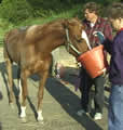 a boy gets thirsty!