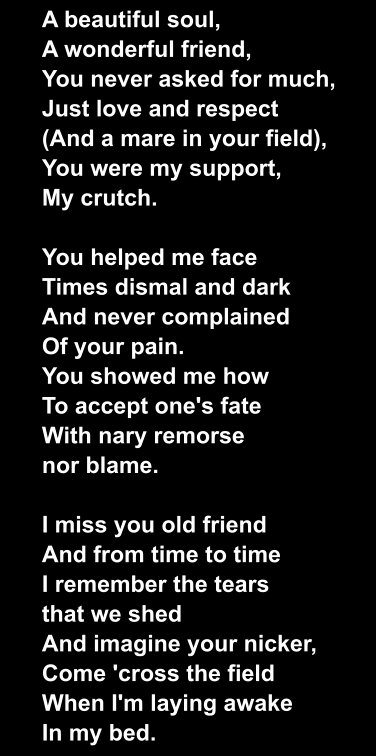 A beautiful soul, A wonderful friend, You never asked for much, Just love and respect (And a mare in your field), You were my support, My crutch.  You helped me face Times dismal and dark And never complained Of your pain. You showed me how To accept one's fate With nary remorse nor blame.  I miss you old friend And from time to time I remember the tears that we shed And imagine your nicker, Come 'cross the field When I'm laying awake In my bed.