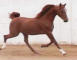 Russian Sporthorse Stallion Hals Riverdance