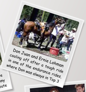 Don Juan and Ernie Lohman cooling off after a tough ride in one of the endurance rides, where Don was always in Top 3