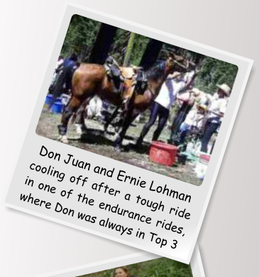 Don Juan and Ernie Lohman cooling off after a tough ride in one of the endurance rides, where Don was always in Top 3