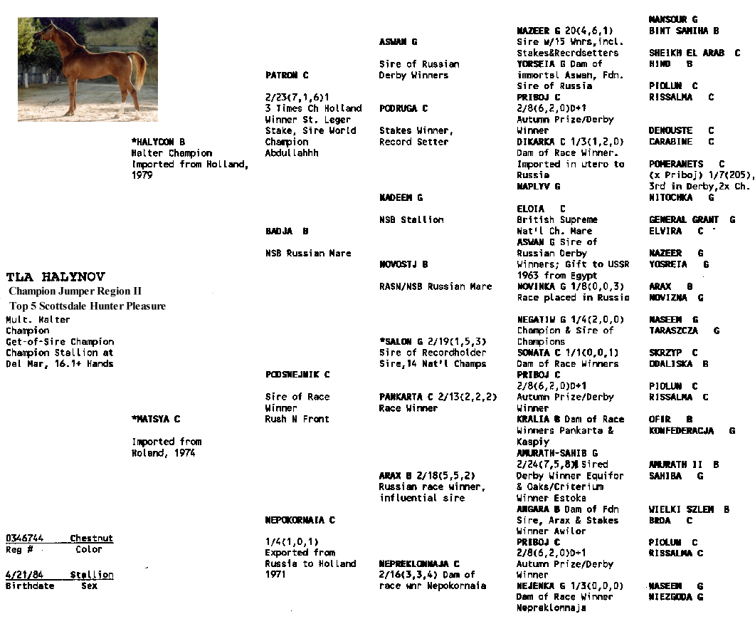 TLA Halynov's Pedigree