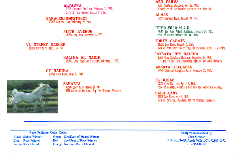 VL Streetdancer's Pedigree