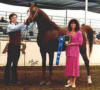 Halynov's first show, 4-Year-Old Stallion at Del Mar