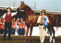 Halynov named 4-Year-Old Champion Stallion at Del Mar