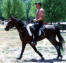 Laguna Endurance Ride with Ernie Lohman