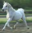 Dam of Breakdancer