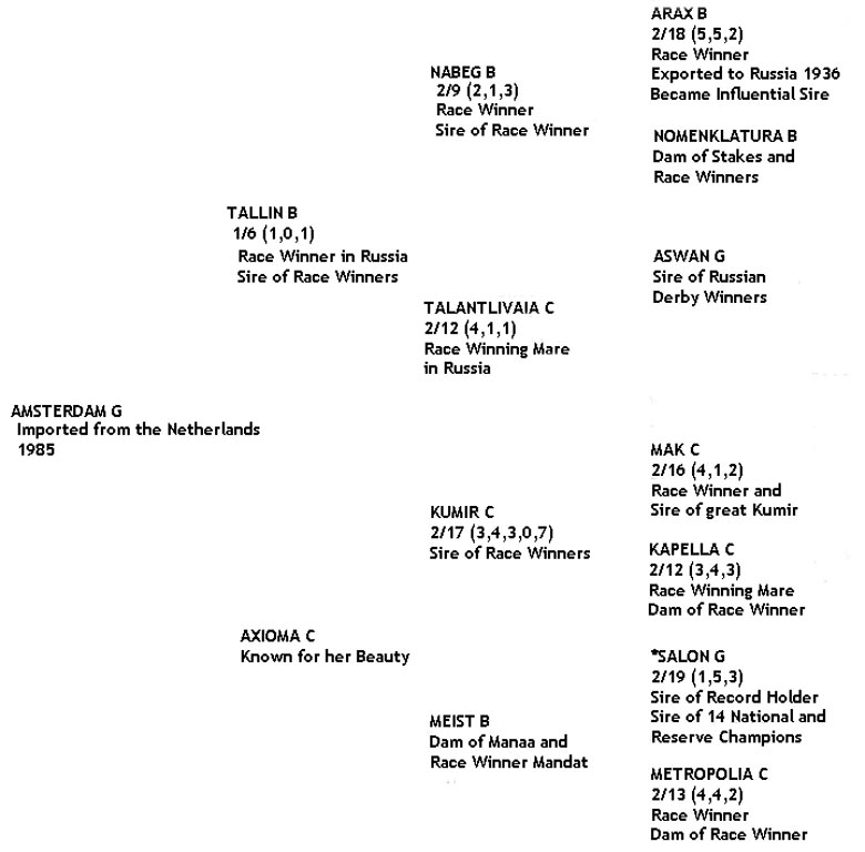 WOA Classie Dame's Pedigree