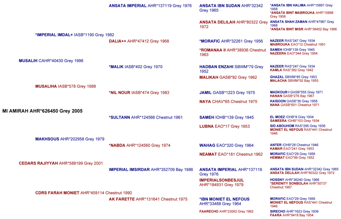 Rieza RB's Pedigree