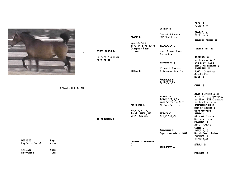 Classica VC's Pedigree